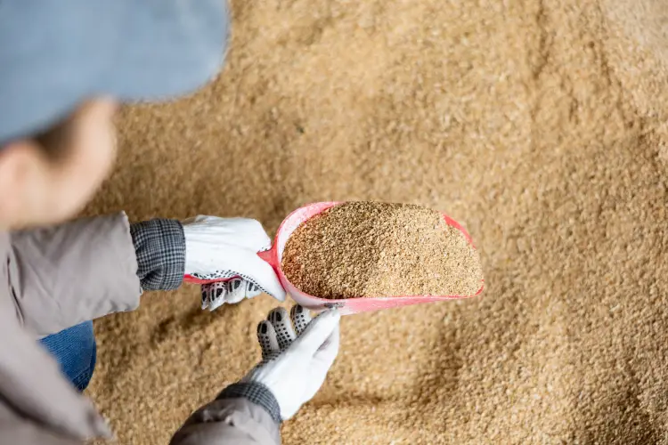 Benefits of Custom Blends in Livestock Nutrition in Athens, TX Benefits of Custom Blends in Livestock Nutrition in Athens, TX